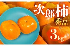 ≪先行予約≫ 数量限定 生産量日本一 愛知県豊橋産 次郎柿 秀品 贈り物にも！ 3kg 柿 甘柿 果物 フルーツ 10月 11月 愛知県 豊橋市 ビタミンC 高栄養価 食物繊維 旬をおとどけ