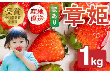≪先行予約！≫ 章姫 訳ありいちご 計1kg ( 約250g × 4 ) いちご イチゴ 苺 あきひめ フルーツ 旬 果物 デザート おやつ 採れたて 10000円 1万円 ショートケーキ フルーツサンド にも スイーツ 産地直送 完熟 農家直送 国産 冷蔵 愛知県 豊橋市 豊橋 わけあり 規格外