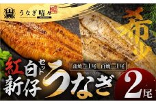 山義養魚の『うなぎ晴々』紅白セット ２尾（蒲焼１尾、白焼１尾） 希少 豊橋うなぎ 蒲焼 厳選 国産 新仔うなぎ 若うなぎ 鰻 ウナギ うなぎ ひつまぶし 土用丑の日 冷凍 丑の日 ご自宅 簡単調理 お取り寄せ 送料無料 お中元 お歳暮 贈答 ギフト タレ・山椒・岩塩つき 15000円 【11月お届け】