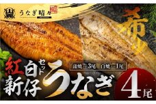 山義養魚の『うなぎ晴々』紅白セット ４尾（蒲焼３尾、白焼１尾） 希少 豊橋うなぎ 蒲焼 厳選 国産 新仔うなぎ 若うなぎ 鰻 ウナギ うなぎ ひつまぶし 土用丑の日 冷凍 丑の日 ご自宅 簡単調理 お取り寄せ 送料無料 お中元 お歳暮 贈答 ギフト タレ・山椒・岩塩つき 30000円 【年末お届け】