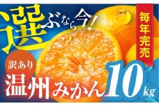 【年末配送】豊橋みかん 訳あり 10kg