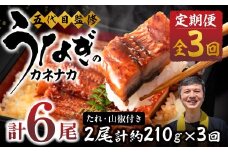 【3回 定期便】国産若うなぎ 2尾 老舗 国産うなぎ セット 詰め合わせ 蒲焼 ウナギ 2尾 うなぎ 鰻 ウナギ unagi 土用 丑の日 国産 国産うなぎ 若うなぎ カネナカ うなぎのカネナカ 蒲焼 タレ付 長焼 お祝い 誕生日 お歳暮 お中元 高級 プレゼント 鰻 うなぎ ウナギ ギフト