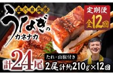 【12回 定期便】国産若うなぎ 2尾 老舗 国産うなぎ セット 詰め合わせ 蒲焼 ウナギ 2尾 うなぎ 鰻 ウナギ unagi 土用 丑の日 国産 国産うなぎ 若うなぎ カネナカ うなぎのカネナカ 蒲焼 タレ付 長焼 お祝い 誕生日 お歳暮 お中元 高級 プレゼント 鰻 うなぎ ウナギ ギフト