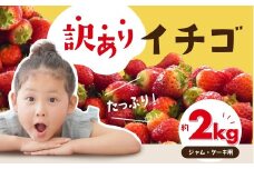 ≪先行予約≫ 訳ありイチゴ 約2kg 【ジャム用】 (約250g×8パック) 詰め合わせ イチゴ いちご 苺 ブランドイチゴ 果物 フルーツ