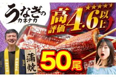 国産うなぎ蒲焼 50尾 訳あり 大容量 うなぎ 鰻 ウナギ unagi 蒲焼 国産 人気 ランキング わけあり 簡単調理 冷凍 簡易包装 お歳暮 お中元 土用の丑の日 丑の日 ギフト お取り寄せ タレ付 山椒 おすすめ うなぎのカネナカ ブランド 愛知県 豊橋市