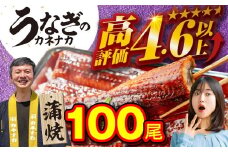 国産うなぎ蒲焼 100尾 訳あり 大容量 うなぎ 鰻 ウナギ unagi 蒲焼 国産 人気 ランキング わけあり 簡単調理 冷凍 簡易包装 お歳暮 お中元 土用の丑の日 丑の日 ギフト お取り寄せ タレ付 山椒 おすすめ うなぎのカネナカ ブランド 愛知県 豊橋市