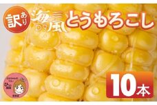 ≪先行予約≫ 令和8年産（2026年収穫）訳あり とうもろこし 10本 直売所で大人気 愛知県 豊橋市 夏野菜 野菜 ミネラルたっぷり 海風そだち 潮風 BBQ 家族で フードロス わけあり 規格外 大容量 豊橋 ともちゃんのやさい