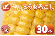 ≪先行予約≫ 令和8年産（2026年収穫）訳あり とうもろこし 30本 直売所で大人気 愛知県 豊橋市 夏野菜 野菜 ミネラルたっぷり 海風そだち 潮風 BBQ 家族で フードロス わけあり 規格外 大容量 豊橋 ともちゃんのやさい