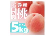 ≪先行予約 2026年発送≫ 石巻産桃 5kg 桃 もも モモ フルーツ 桃 もも モモ 果物 白鳳 日川白鳳 清水白桃 川中島白桃 なつっこ 数量限定 期間限定 旬 人気 おすすめ 甘い 果物 美味しい 訳あり わけあり 2kg 3kg 5kg愛知県 豊橋市