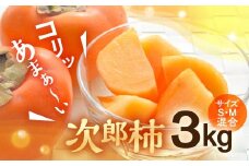 ≪先行予約≫ 豊橋石巻柿工房の『次郎柿』3kg