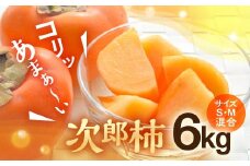 ≪先行予約≫ 豊橋石巻柿工房の『次郎柿』6kg