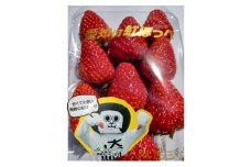 とれたて極甘大粒　岡崎産　紅ほっぺ　6パックセット【1200613】