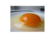 「地元ブランド」テツマEMたまご　濃厚な味わいたまご　40個入り【1200616】