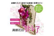 咲く石シリーズ　カトレア【1203257】