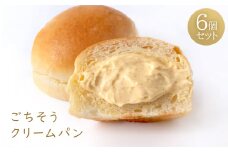 ごちそうクリームパン6個セット【1205155】