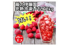 冷凍いちご　紅ほっぺ完熟冷凍苺2kg【1242742】
