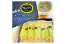 完熟冷凍メロンスティック10本入り　　　　肥後グリーン　愛知県岡崎市伊藤園【1244467】