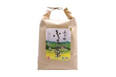 〈ぬかたのミネアサヒ〉千万町・木下 ふるさと米(精米)5kg【1246622】