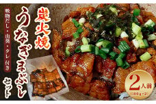 御気軽炭火焼うなぎまぶしセット　2人前(100g×2)【1278566】