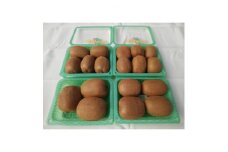 愛知県岡崎市産キウイフルーツ(ヘイワード)約2kg(17~18玉入)【1284803】