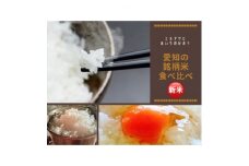 愛知の米・山田農園の米4.5kg×2袋:耕作放棄地を蘇らせる!「美味しかった、また頂きたい」の声多数【1307479】