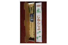 ときなんの自然薯「夢とろろ」約1kg【1210173】