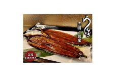 大(3P～4P)三河一色うなぎ蒲焼き2尾　肝焼き付き【1155817】