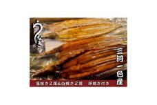 大(3P～4P)三河一色うなぎ蒲焼き2尾白焼き2尾　肝焼き付き【1155819】