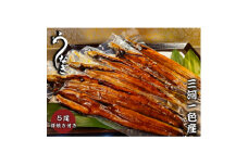 中(5P)三河一色鰻蒲焼き5尾　肝焼き付き【1393979】