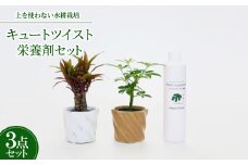 キュートツイスト2個&栄養剤セット＜オススメの観葉植物でお届け＞【1404515】