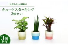 キュートスタッキング3個セット＜オススメの観葉植物でお届け＞【1404520】