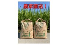 ＜毎月定期便＞10kg×6ヶ月 農家直送!低農薬コシヒカリ 全6回【4005229】