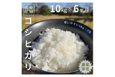 ＜毎月定期便＞10kg(5kg×2袋)×6ヶ月 農家直送!低農薬コシヒカリ全6回【4057788】