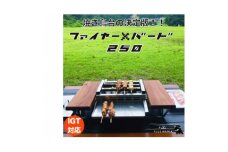 ファイヤー+バード250【1543382】