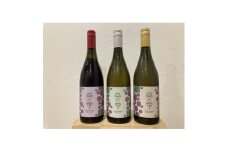 純岡崎産ワイン「葵の 雫2023」3本セット【1560005】