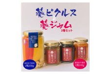 葵ピクルス「あいちの家康」250gびん1本&葵ジャム140g3種セット【1575495】