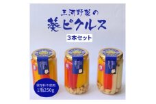 三河野菜の葵ピクルス「あいちの家康酢漬」250gびん3本【1575500】