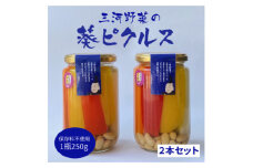 三河野菜の葵ピクルス「あいちの家康酢漬」250gびん2本【1575501】