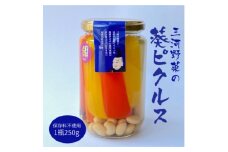 三河野菜の葵ピクルス「あいちの家康酢漬」250g【1575504】