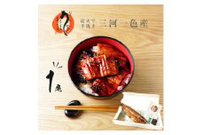 炭火手焼き☆三河一色産うなぎ蒲焼　1尾　うなぎ十楽【1581869】