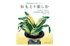 徳川家康公の運気を上げた縁起物!　おもと講座と植え替え体験　＜万年青プレゼント!＞【1581464】