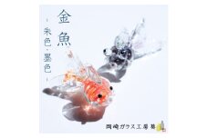 ＜数量限定＞金魚 2色セット　岡崎ガラス工房 葵【1629441】