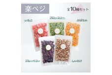 冷凍フルーツと野菜を手軽に!ダイスフルーツと野菜の楽ベジ10種セット【1644036】