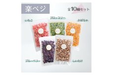 冷凍フルーツと野菜を手軽に!ダイスフルーツと野菜の楽ベジ10種セット【1644036】