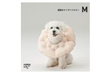 ＜ハナロロ＞エリザベスカラー M(ピンクグレージュ)【1645428】