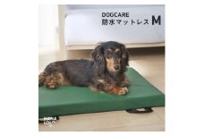 ドッグケア　床ずれ予防マットレス　M【1645675】