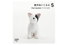 ＜ハナロロ＞愛犬ぬいぐるみ フレブル S(パイドぶち)【1646223】