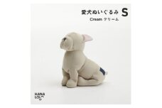 ＜ハナロロ＞愛犬ぬいぐるみ フレブル S(クリーム)【1646227】