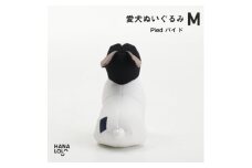 ＜ハナロロ＞愛犬ぬいぐるみ フレブル M(パイド)【1646233】
