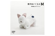 ＜ハナロロ＞愛犬ぬいぐるみ フレブル M(ホワイト)【1646238】